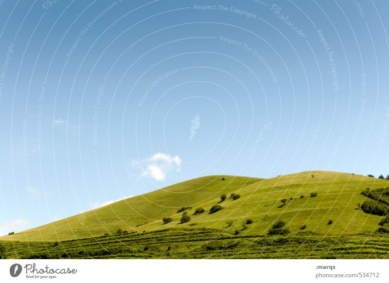 hill Vacation & Travel Nature Landscape Cloudless sky Summer Beautiful weather Meadow Hill Blue Green Colour photo Exterior shot Deserted Copy Space left