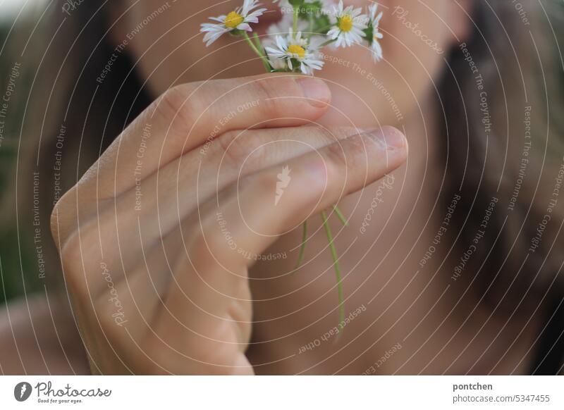 a woman holds a small bunch of daisies with her hand in front of her face Daisy Bouquet Hand Fingers Spring Plant Woman Blossom stop sniff Joy Love of nature