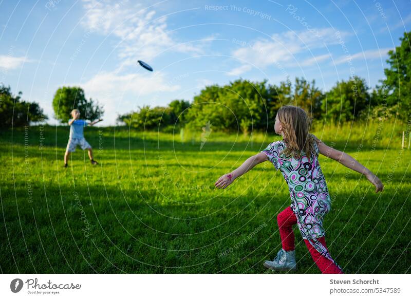 Children playing frisbee on a green field Frisbee Green green meadow Meadow Nature Landscape Grass Summer Colour photo Sky Parenting children Infancy