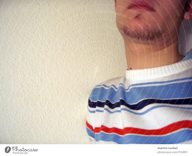 streak-horned Stripe Striped sweater Human being Ingrain wallpaper white wall Neck