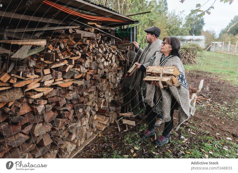 Calm senior couple choosing wooden logs in village countryside together rural dog nature relationship concentrate mapuche temuco chile chilean indigenous
