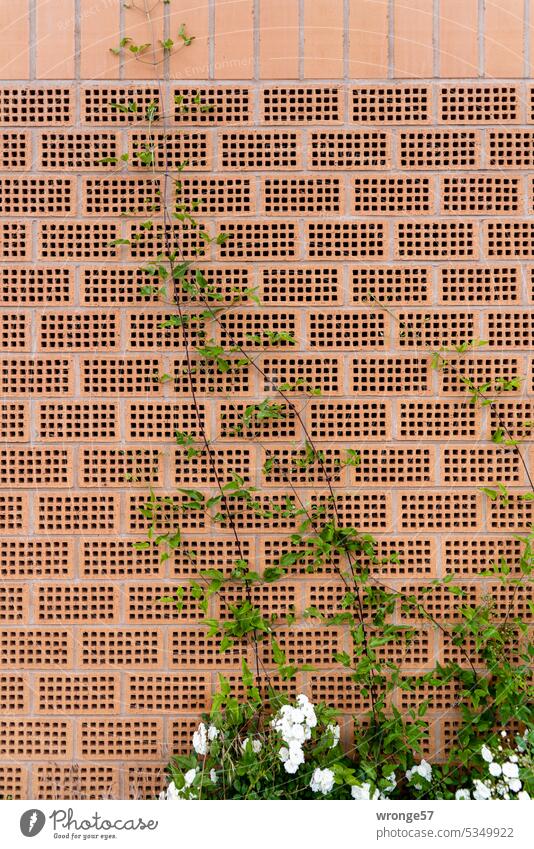 noise barrier city-green plants Noise control Noise control barrier soundproof wall Perforated brick Colour photo Deserted Day Exterior shot Wall (building)