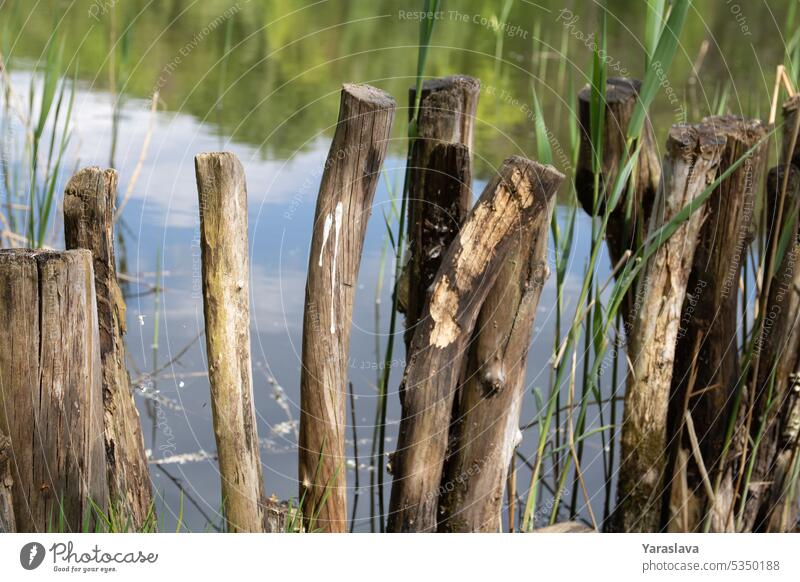 photo of a rare fence on the lake nature wood calmness reflections tranquil no people beautiful landscape water tree view scenic green sky forest britain