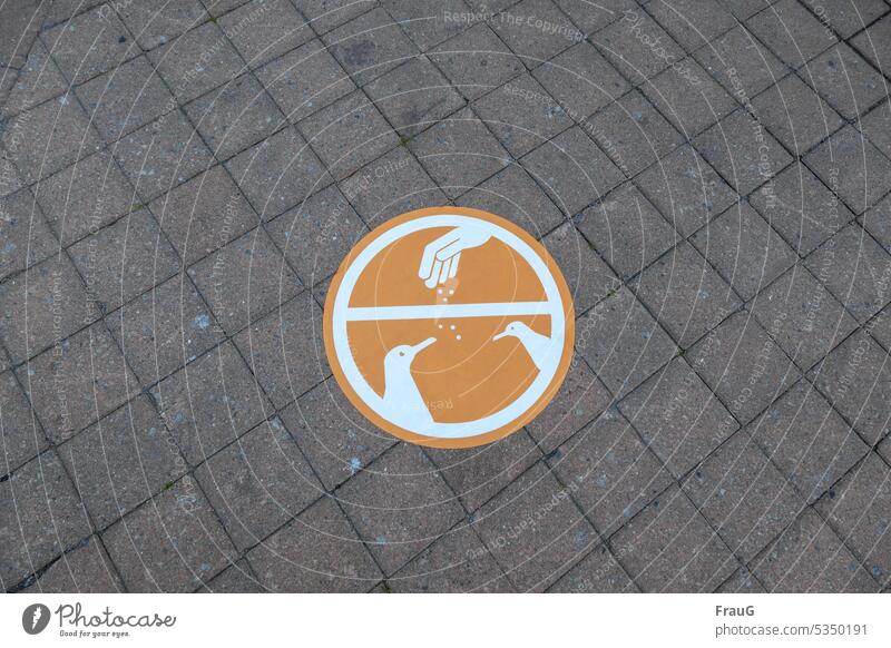 Mindfulness | Please do not feed pigeons pavement sign Clue Signage Signs and labeling stylized Hand pigeon plague Feed crossed out Gray Orange in the city