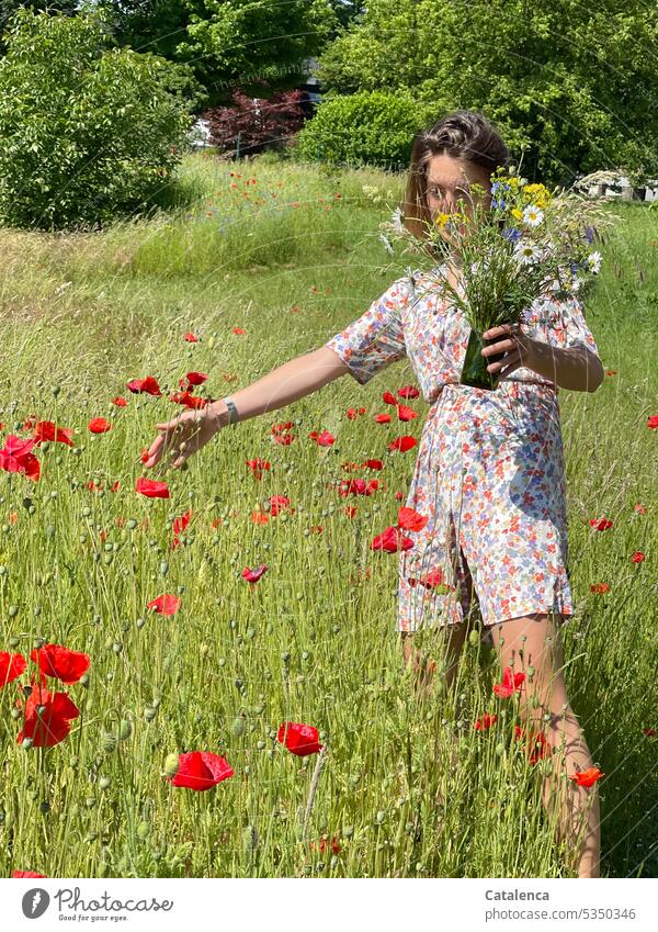 Woman in flowered dress and bouquet in hand picking poppies fragrances Nature flora Plant blossom Blossom Flower Garden Grass Meadow Day daylight fade person