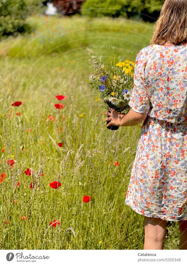 Woman in flowered dress and bouquet in hand walks past poppies fragrances Nature flora Plant blossom Blossom Flower Garden Grass Meadow Day daylight fade person