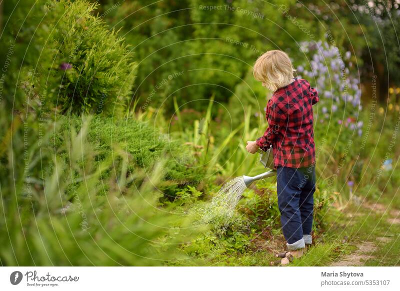 Preschooler boy watering plants in the garden at summer sunny day. Mommy little helper. Summer outdoors activity and labor for kids during holidays. Happy childhood.