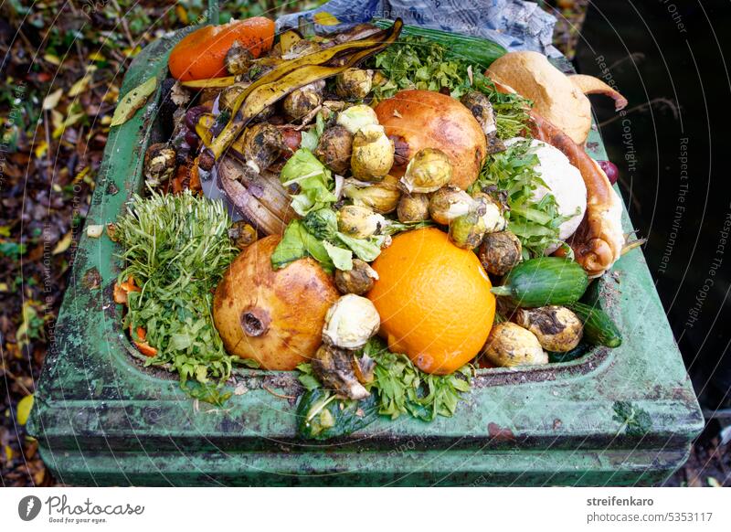 View into the organic waste garbage can Biogradable waste Organic waste bin dustbin fruit Vegetable Spoiled abundance Waste food products Inedible
