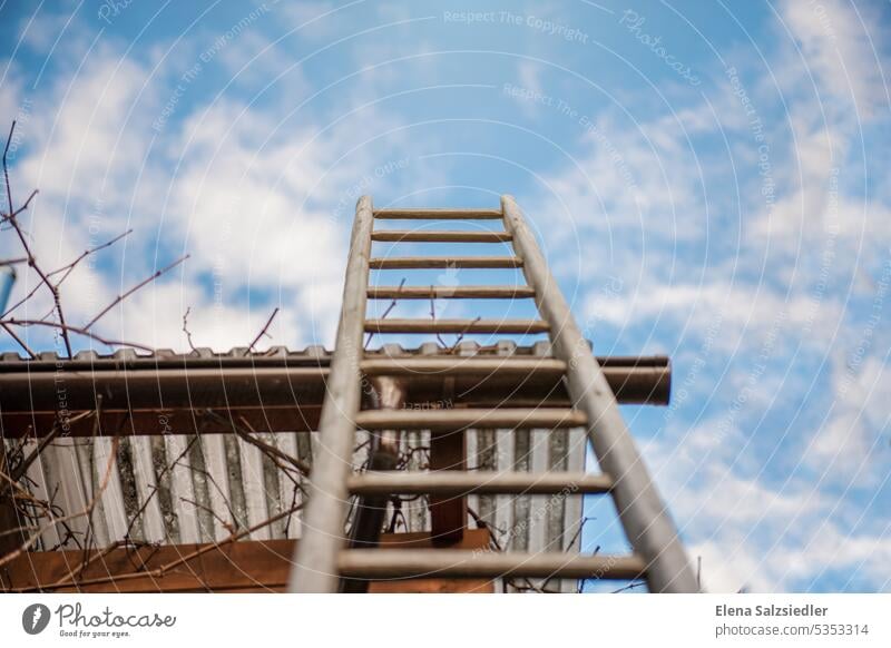 Empty wooden ladder - blue sky. Wooden ladder Ladder old ladder Vintage style Blue sky Clouds Sky Go up Career Upward Exterior shot Deserted Tall Success Stairs