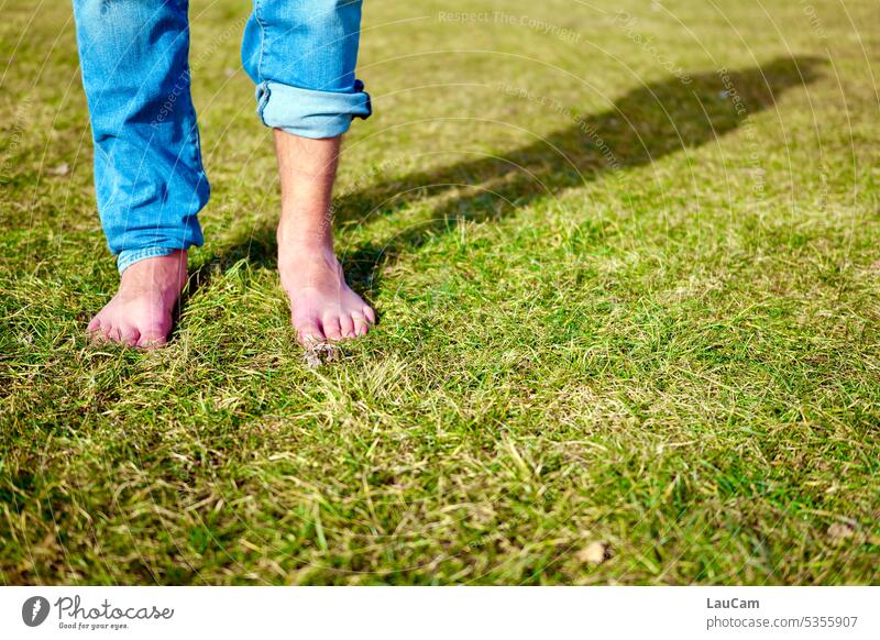 barefoot in the grass feet Feet Grass Meadow Green jeans Jeans rolled up Legs Shadow Barefoot run barefoot Summer Toes Summer feeling Freedom Relaxation Stand