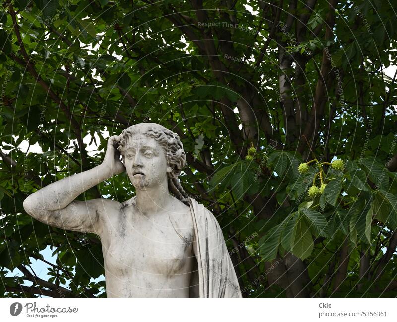 sad female figure under chestnut tree Statue Woman Grief Distress dissatisfied reflectiveness Naked Sculpture plastic Work of art Tree chestnuts Chestnut tree