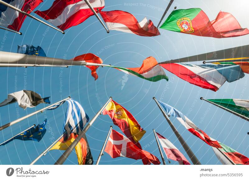 European flags Politics and state Many Flag Worm's-eye view Flagpole International Perspective Global Freedom Pride Might Attachment Cloudless sky Exterior shot