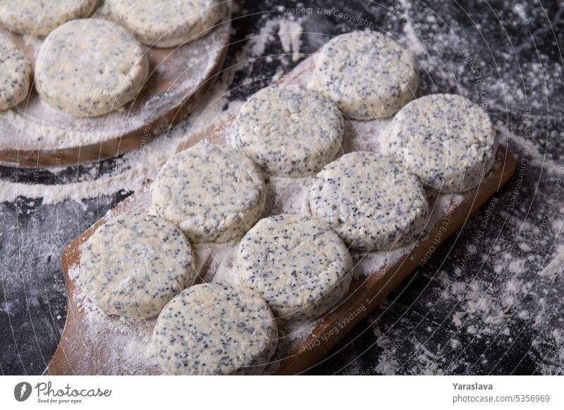 photo is not a fried product of cottage cheese and poppy seeds kitchen breakfast calcium dessert food sweet white healthy homemade summer plate tasty background
