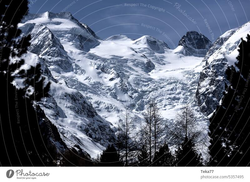 the famous morteratsch glacier in switzerland ice snow swiss glacier mountains high Berninagruppe graubuenden bernina mountain range