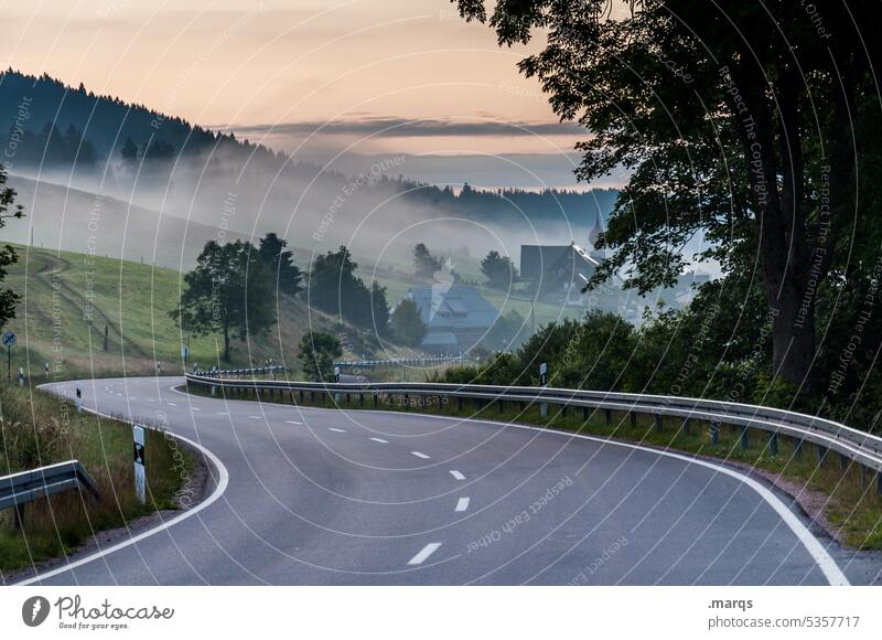 Country road in the morning Lanes & trails Street Transport Fog Landscape Nature Tree Environment Trip Road traffic Traffic infrastructure Day Target Driving