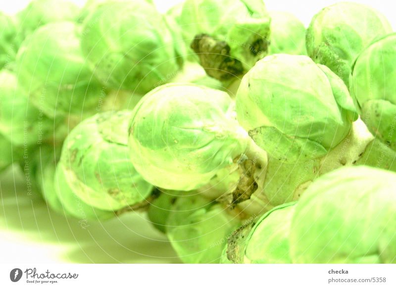 cabbage Plant Green Overexposure Things Vegetable