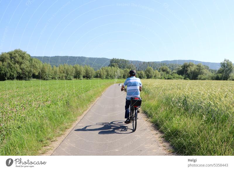 Senior cycling on the Weser cycle path between meadow and grain field, in the background the Wiehengebirge mountains Human being Man Senior citizen Bicycle