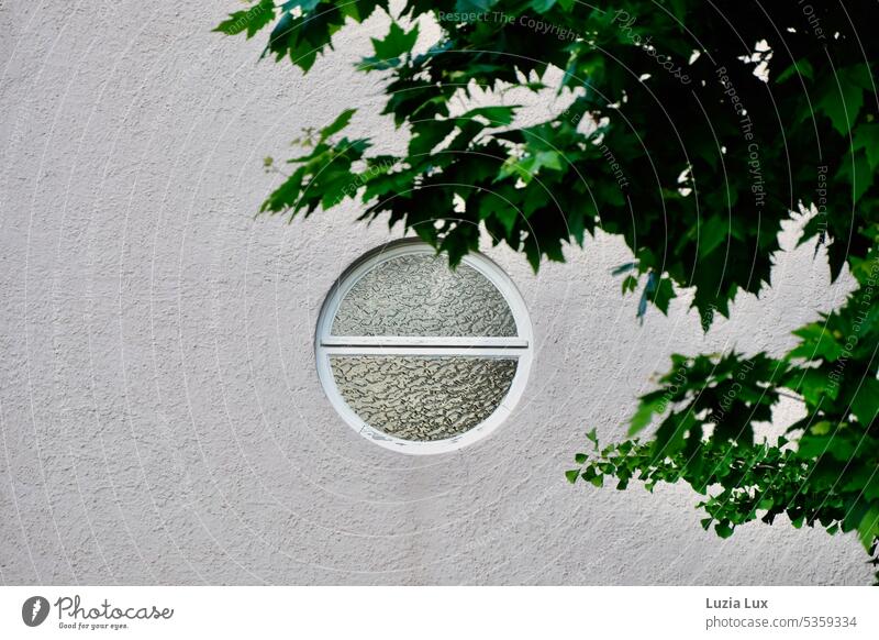 Round window and green foliage in front Window Rose window Facade Architecture Building Wall (building) Town Middle rung Old Old fashioned window glass Porthole