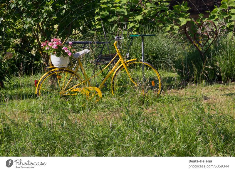 Demo bike with flower decoration Bicycle Old disused Decoration Yellow Exterior shot Green space Nostalgia Retro Nature garden jewellery Decorative wheel