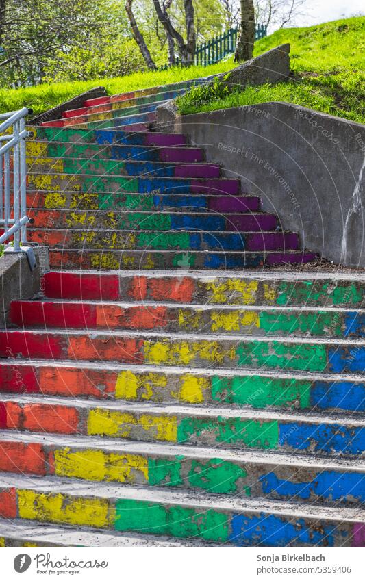 Rainbow colored stairs steps rainbow beautiful city colorful community concept diversity purple pride painted outdoor town transgender green blue climb human