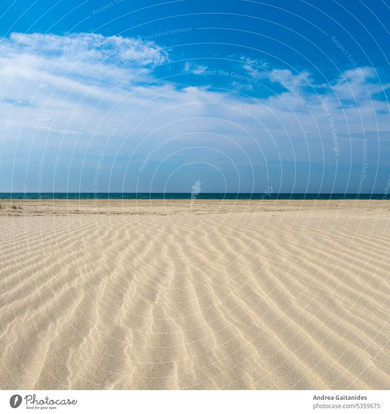 Gradients and structures on the beach, horizontal and vertical lines, 1:1 Colour photo Stripe Striped Beach Beach dune Sand Sandy beach sandy sand dune Water