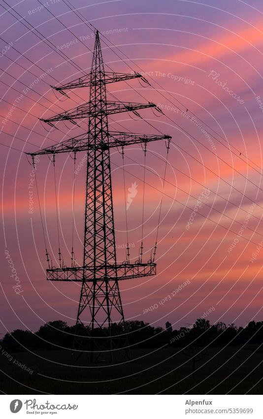 Energy Electricity pylon High voltage power line Sky Energy industry Industry evening mood Transmission lines Technology Exterior shot Power transmission