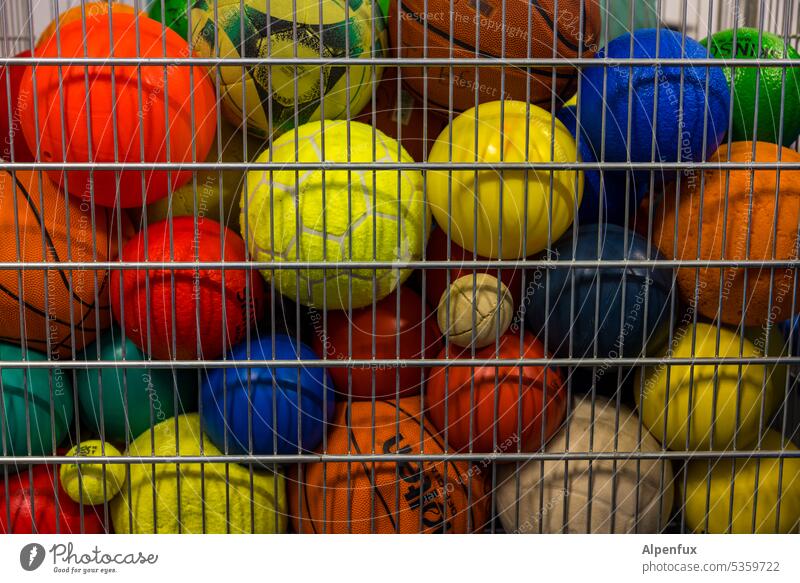 cage posture balls Hand ball Foot ball Tennis ball Basketball Volleyball Ball sports Sports Cage Sporting Complex Leisure and hobbies Captured penned Collection