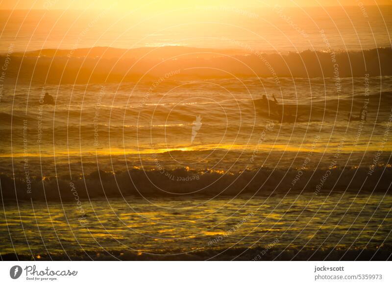 Permanent | on the waves in the first sunshine Sunrise Morning Sunlight Silhouette Surfer Nature Back-light Ocean Warmth Romance Vacation & Travel Relaxation