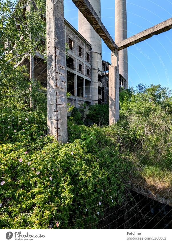 The old dilapidated power plant was built, but never equipped with machinery. It was always just an empty shell. Today, nature is reclaiming the site and artists are letting off steam inside.