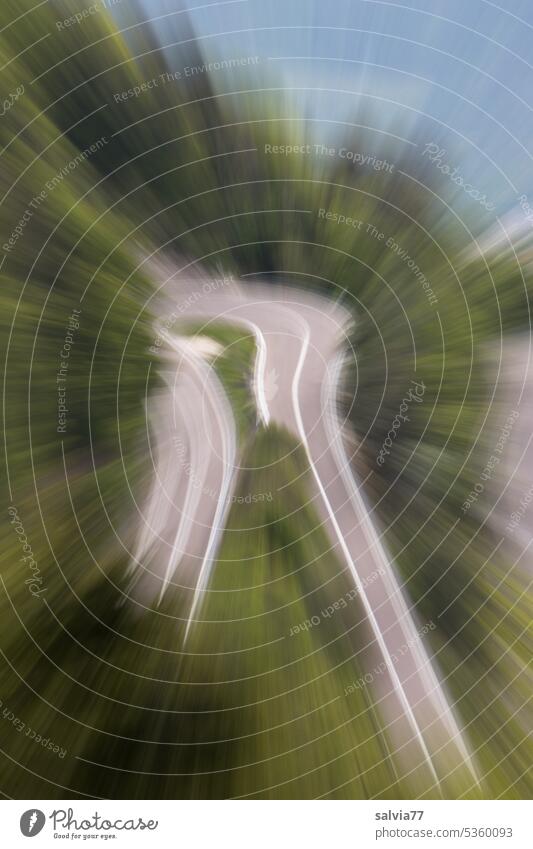 whiplash injury ICM technology Street Curve Winding road hazy Abstract Zoom effect Forest Green motion blur blurriness Speed catapult abstract photography