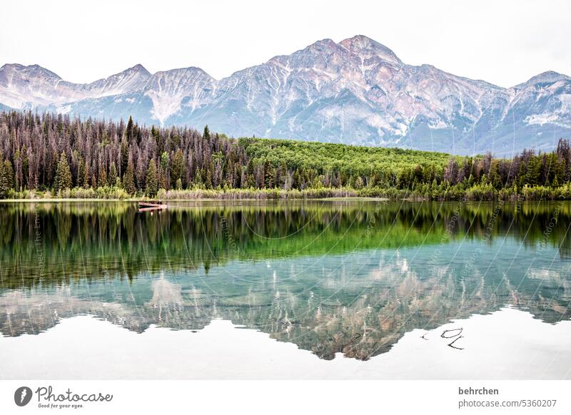 Ambiguous mountain lake Reflection wide Far-off places Wanderlust especially Fantastic Deserted Tourism Vacation & Travel Colour photo North America