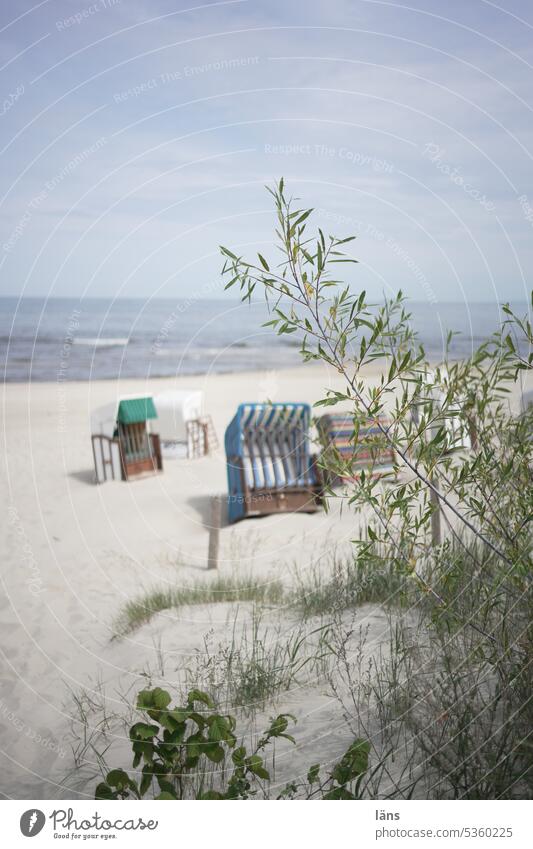 Baltic Sea beach slightly overcast Beach Beach chair Ocean Vacation & Travel Summer Sand Relaxation coast Tourism Summer vacation Usedom Sky