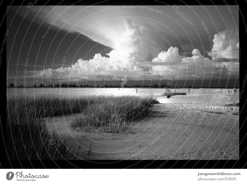 apocalypse Beach Ocean Waves Florida Fort de Soto Park Grass Clouds Dramatic Gale Storm Vacation & Travel Exterior shot Summer Water Sand USA St. Petersburgh