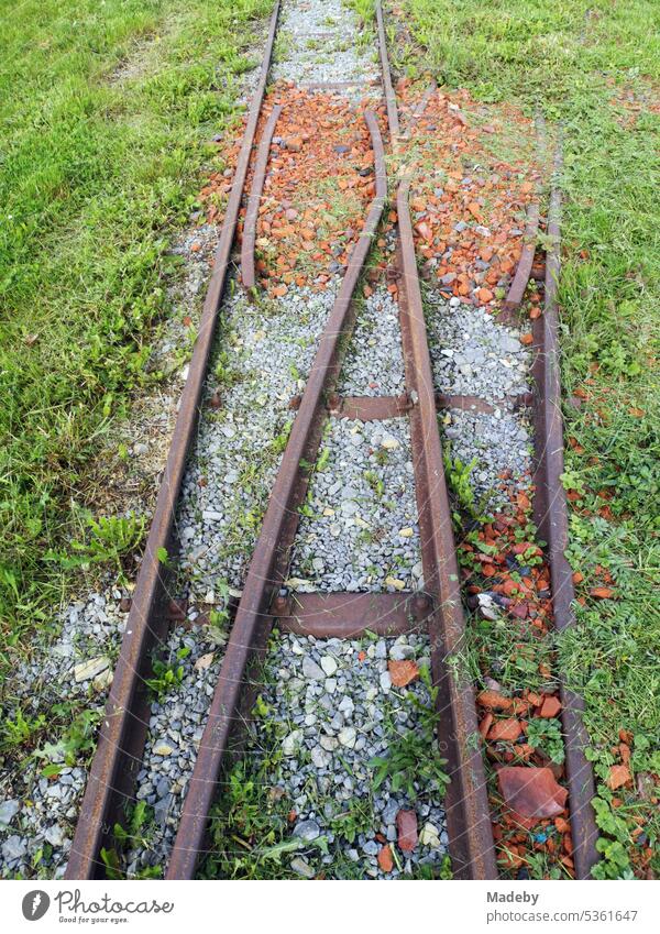 Rusty tracks of an old narrow gauge railway through the green grass in summer sunshine at the Old Brickworks in Lage near Detmold in East Westphalia-Lippe