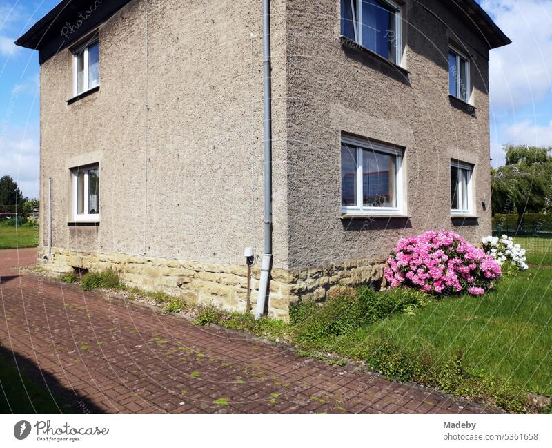 Green front garden with pink blossoms of a shrub and old facade in beige of a residential house of the sixties in the summer in the sunshine in Hagen near Lage in East Westphalia-Lippe