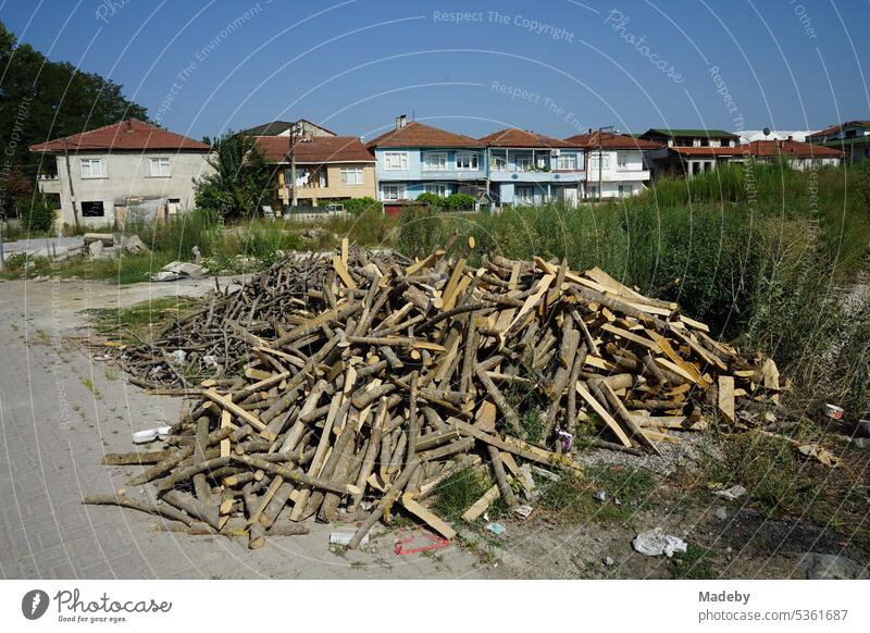 Large pile of collected firewood on a vacant lot against blue sky in a residential area in summer sunshine in Adapazari, Sakarya province, Turkey Tree Wood