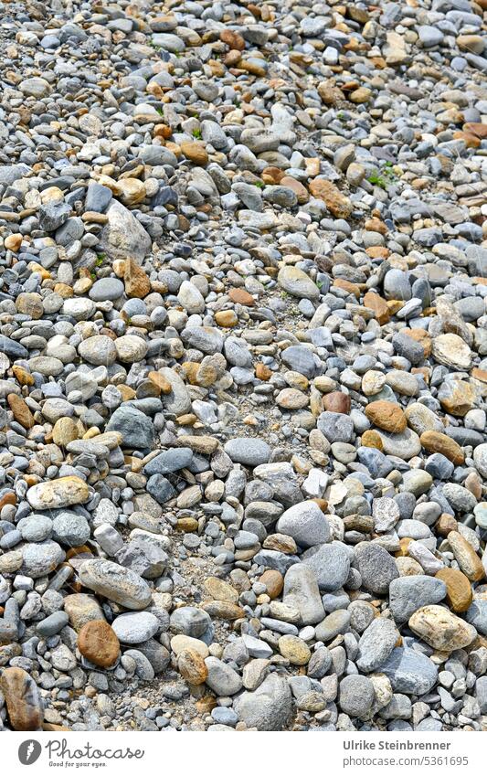 Gravel or crushed stone you can never have enough Pebble Gravel beach Sea bed Ground down stones Stony Stone Pebble beach variety pebble Gray Nature Beach