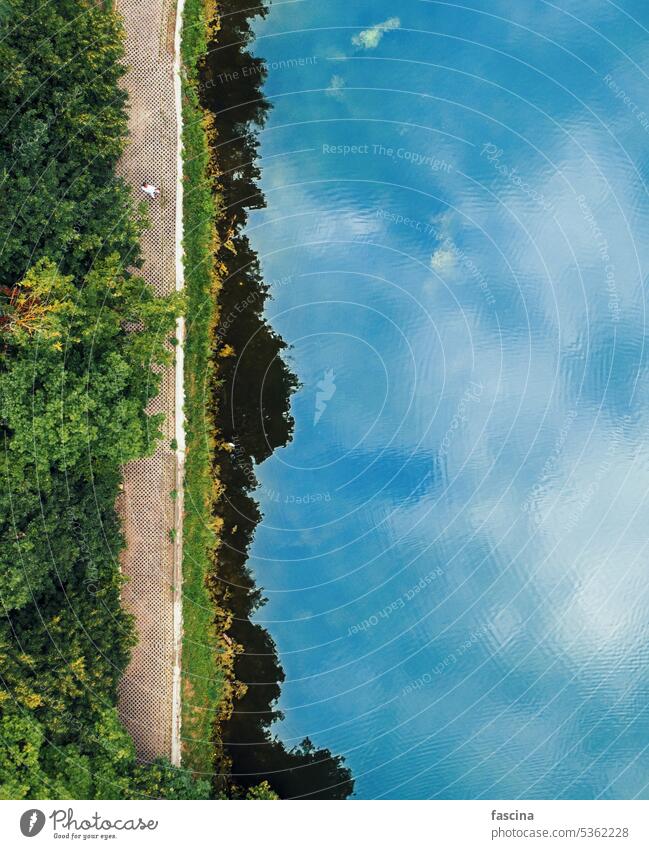 Green park and water, drone top view, vertical man people walk forest surface lake aerial texture copy space copyspace trees green deciduous summer nature above