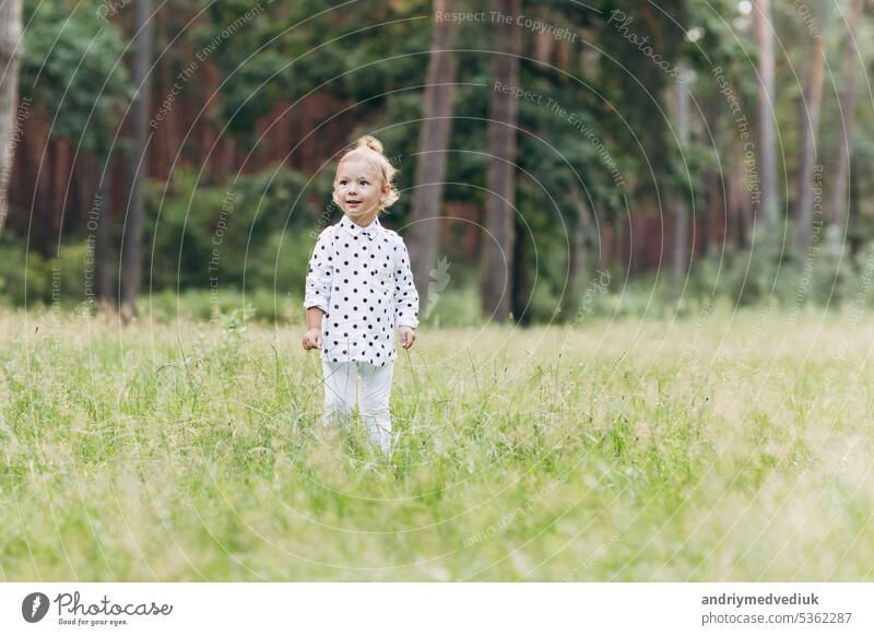 Adorable child, little toddler girl on a beautiful pine wood forest background. enjoying walking with family on a warm sunny day. selective focus baby park