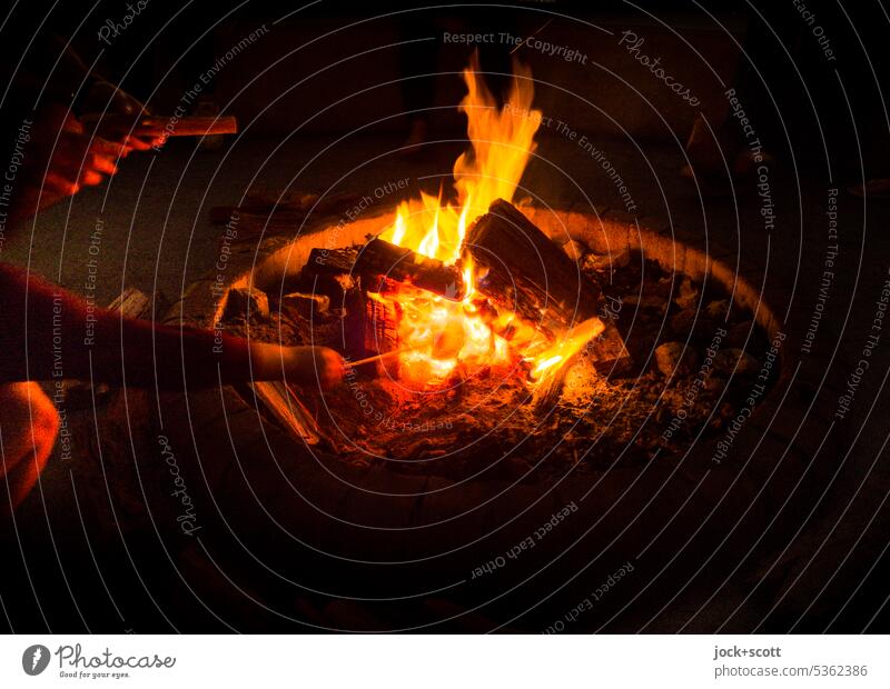 Marshmallow roasts in fire marshmallow Fire Grill Hot campfire Fireplace Low-key Night Flame Glow Embers Incandescent Warmth romantic Firewood Burn BBQ ardor