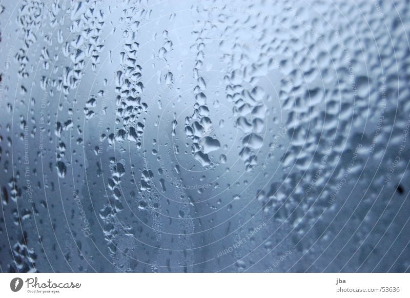 disc Window Window pane Physics White Drops of water Rope Warmth Erudite Blue Morning