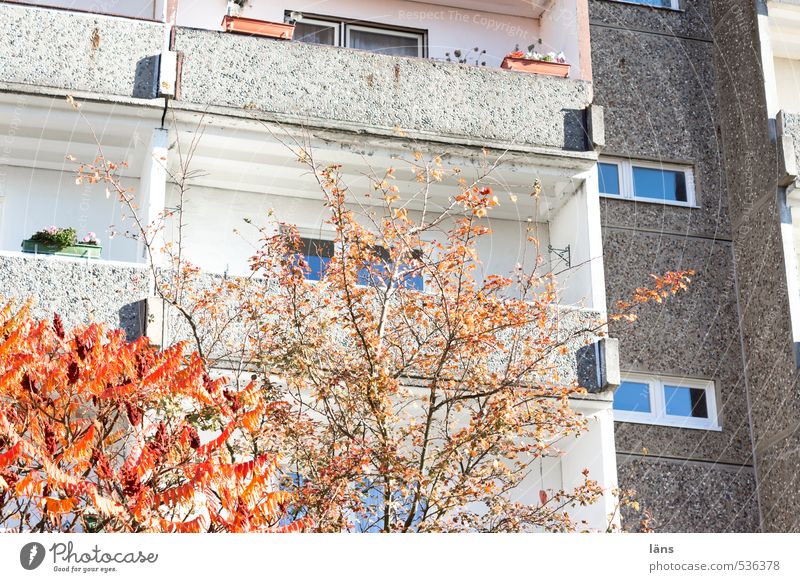 Retreat area ll Autumn Tree Town Populated House (Residential Structure) High-rise Manmade structures Building Living or residing Environmental protection