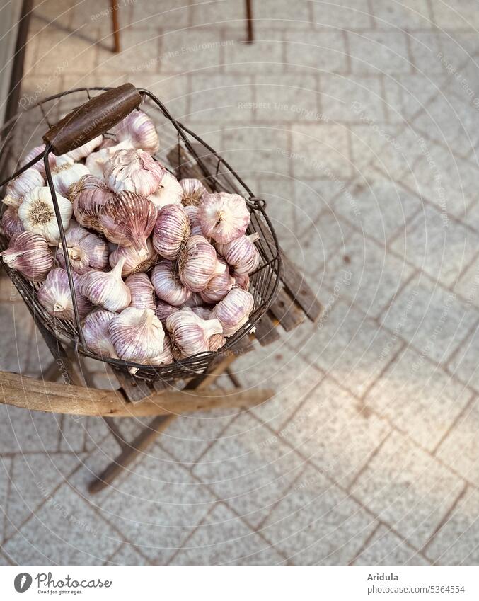 Wire basket filled with many garlic bulbs stands on a chair Basket Garlic onion Food Herbs and spices Healthy Chair Markets Shopping Healthy Eating Nutrition