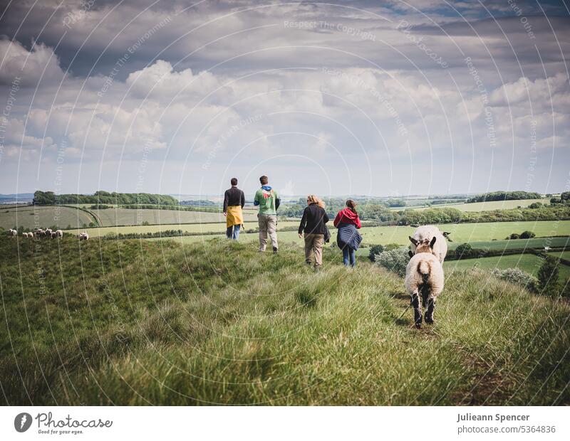 Family going for a walk being followed by sheep Going on a bear hunt family sheep Farm animal Exterior shot Nature Landscape Group of animals Sheep Flock