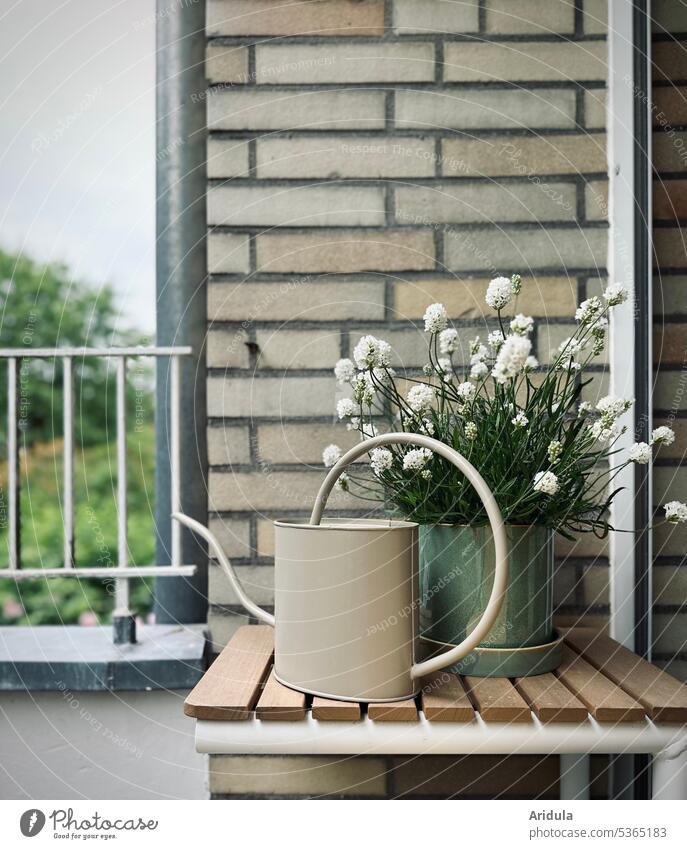 White lavender and a watering can stand on a small table on the balcony Lavender Watering can Balcony Table house wall House (Residential Structure) at home
