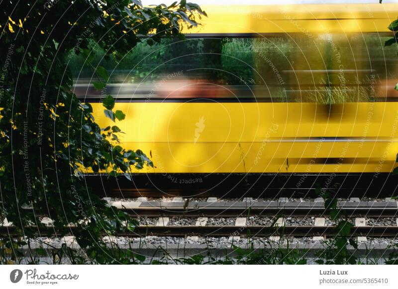 yellow light rail flits into the green... Track Train Yellow Transport Underground Railroad tracks Rail transport Driving Track bed Summer Summery motion blur