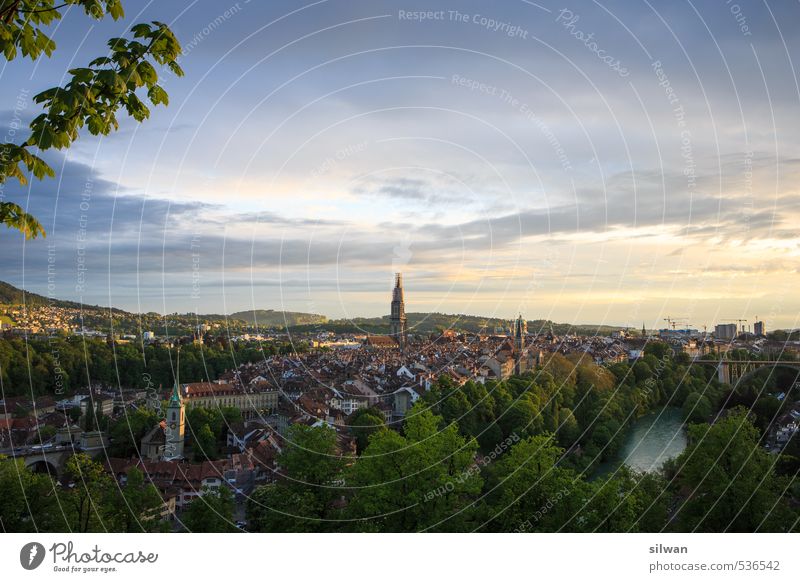 Berne city Town Old town Dome Esthetic Exceptional Contentment Bernese Old Town Bern Cathedral Rose garden Münster Sunset Moody Lighting Branch Clouds
