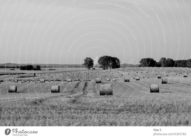 Landscape with field in black white Mecklenburg-Western Pomerania harvested b/w Summer Field Black & white photo B/W Day B&W Deserted Exterior shot Calm