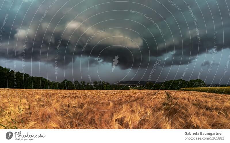 Supercell brings hail, destruction and hurricane supercell Storm clouds Thunder and lightning Nature Climate Gale Threat Exterior shot Landscape Bad weather