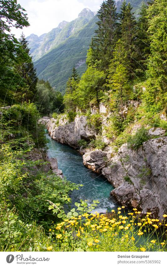 Hiking in the Soca Valley in Slovenia slovenia travel landscape europe hiking view nature mountain outdoor soca forest green adventure river tourism alps cliff